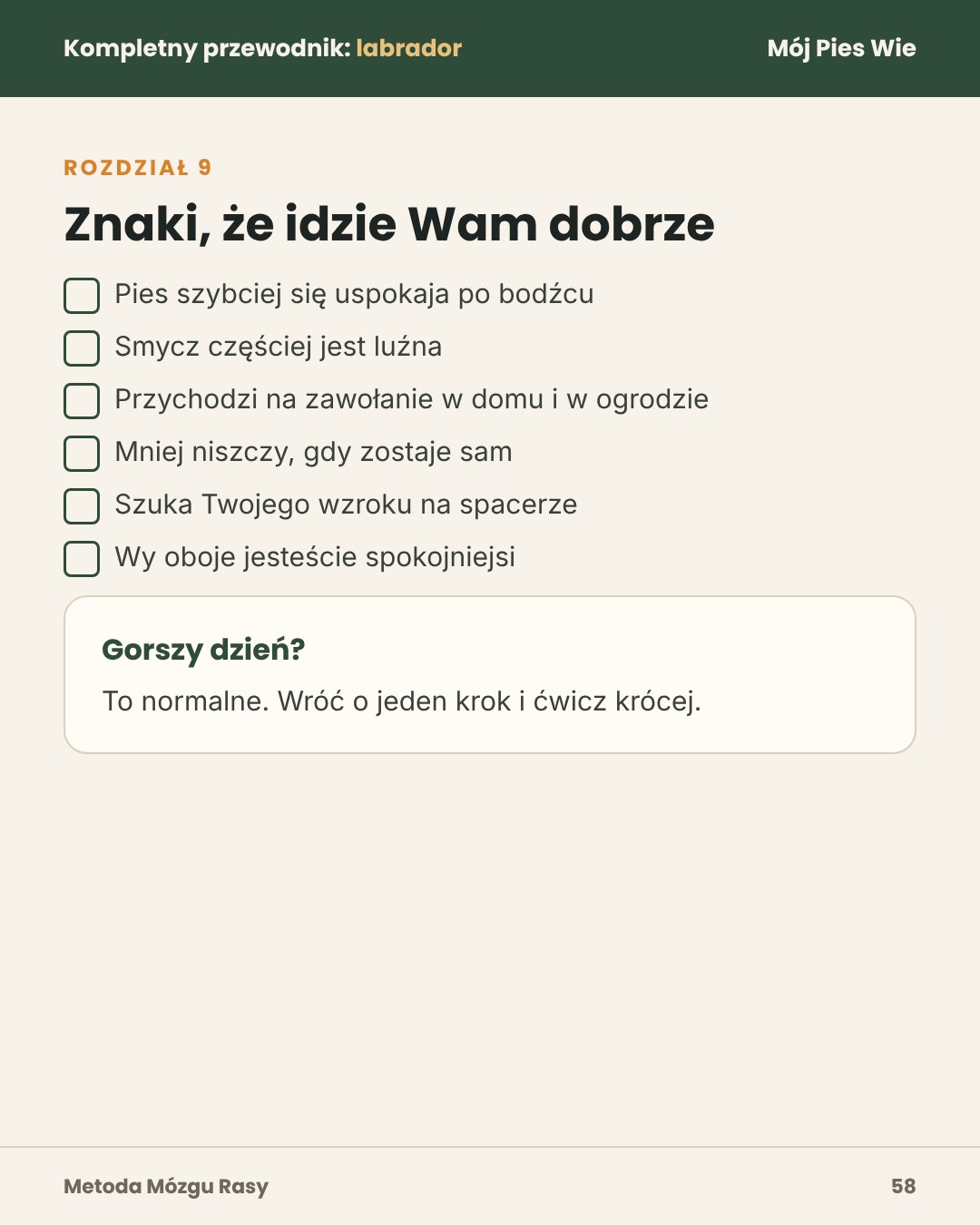Przykładowa strona 3