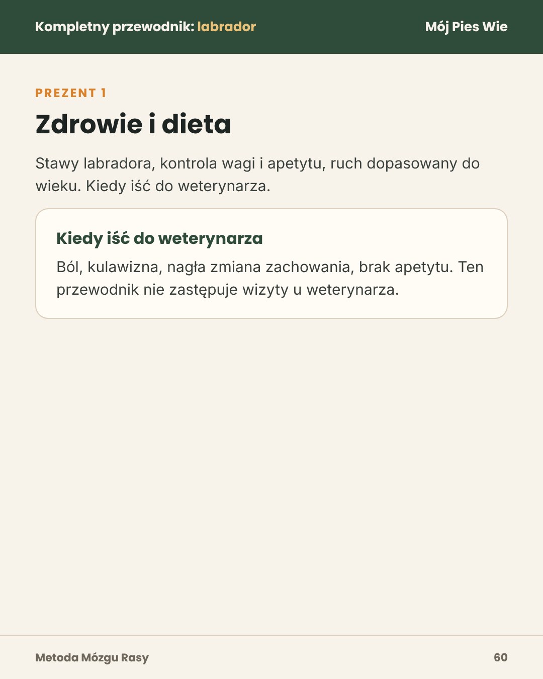 Przykładowa strona 4