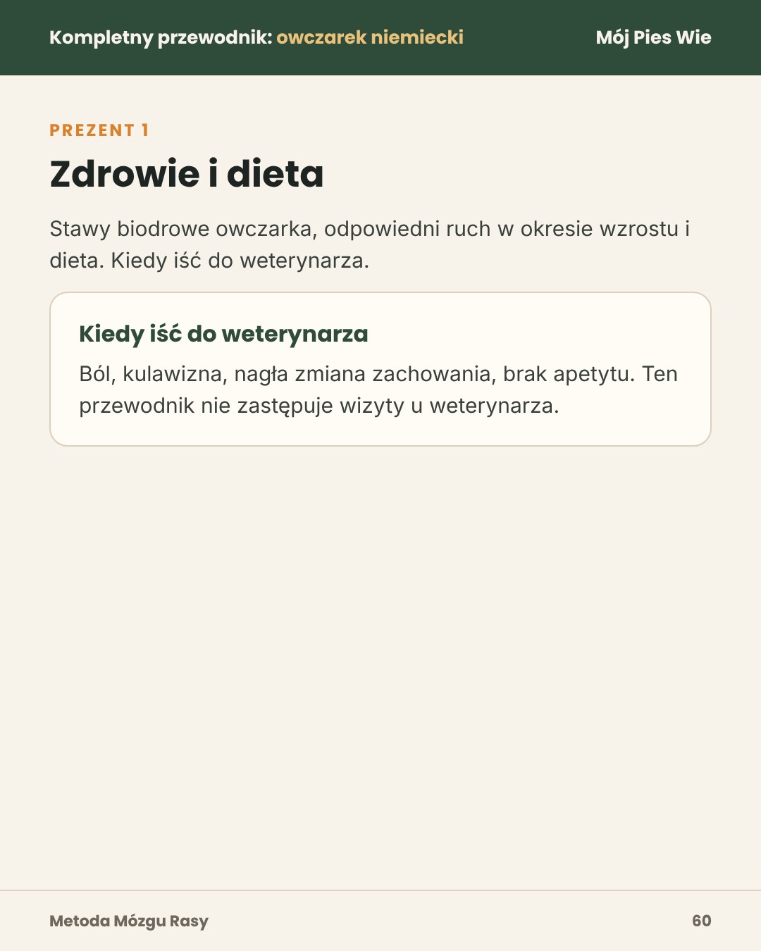 Przykładowa strona 4